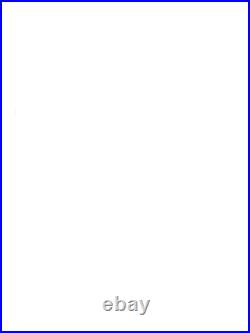 Dept 56 Cathedral of St. Paul #58930 Patina Dome Edition Christmas in the City