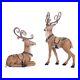 Katherine-s-Collection-Christmas-In-The-City-Reindeer-Set-of-2-Assortment-Brown-01-dzgb