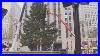 Rockefeller-Center-Christmas-Tree-Arrives-In-New-York-City-01-cc
