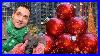 The-Perfect-Christmas-In-Nyc-Everything-You-Need-To-Know-01-zxll
