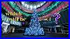 Top-10-Christmas-Trees-Of-New-York-City-01-gjnf